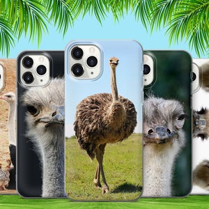iPhone 13 Pro Max Case from BandWerk – Ostrich | Brown Black
