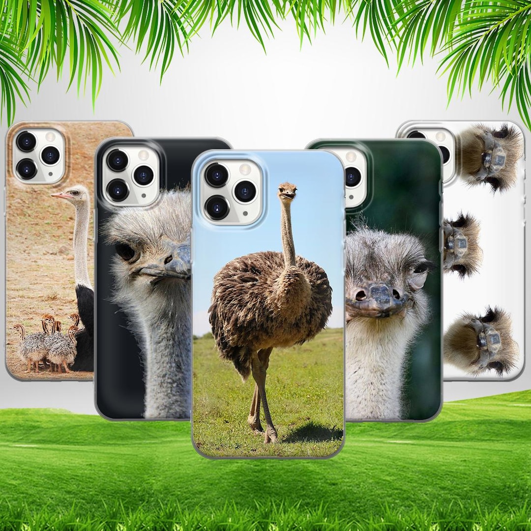 Funny Giant Bird Ostrich Phone Case for iPhone 16 15 14 13 12 11 X ...