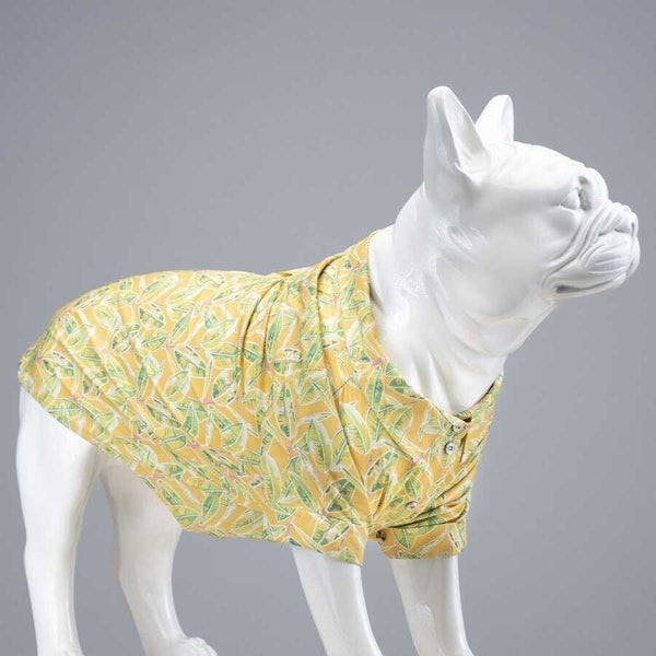 Dog Shirt ,Button Down Dog Shirt, Collared Pet clothes, Formal puppy fashion, Fancy cat apparel, High fashion puppy,stylish dog