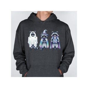 Iridescent Halloween Raccoon PNG: Funny, Witch, Vampire, Ghost Costumes ...