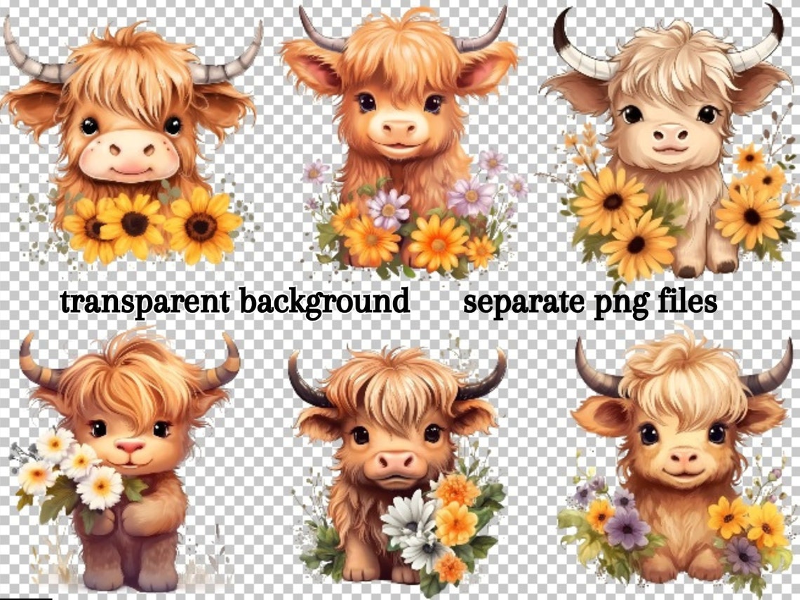 Highland Cow Clipart PNG Set, Floral Design (digital Download) - Etsy