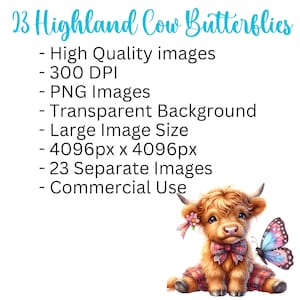 13 Colourful Watercolor Highland Cows and then words explaining the clipart. High quality images, 300 dpi. PNG images, transparent background. Large image size, approximately 4000px x 4000px. 20 separate images.