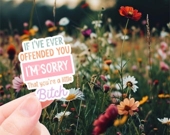 Funny Mental health sticker, If I’ve offended you I’m sorry you’re a little, sticker for laptop, water bottle sticker, sarcastic sticker