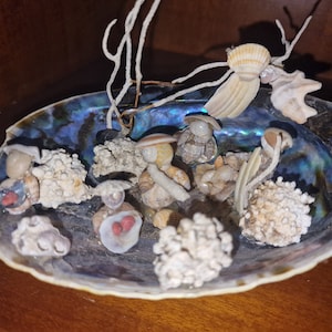 Può includere: Una conchiglia con un interno blu iridescente è piena di piccole conchiglie, coralli e figurine in miniatura fatte di conchiglie. Le figurine sono disposte in una scena fantasiosa.