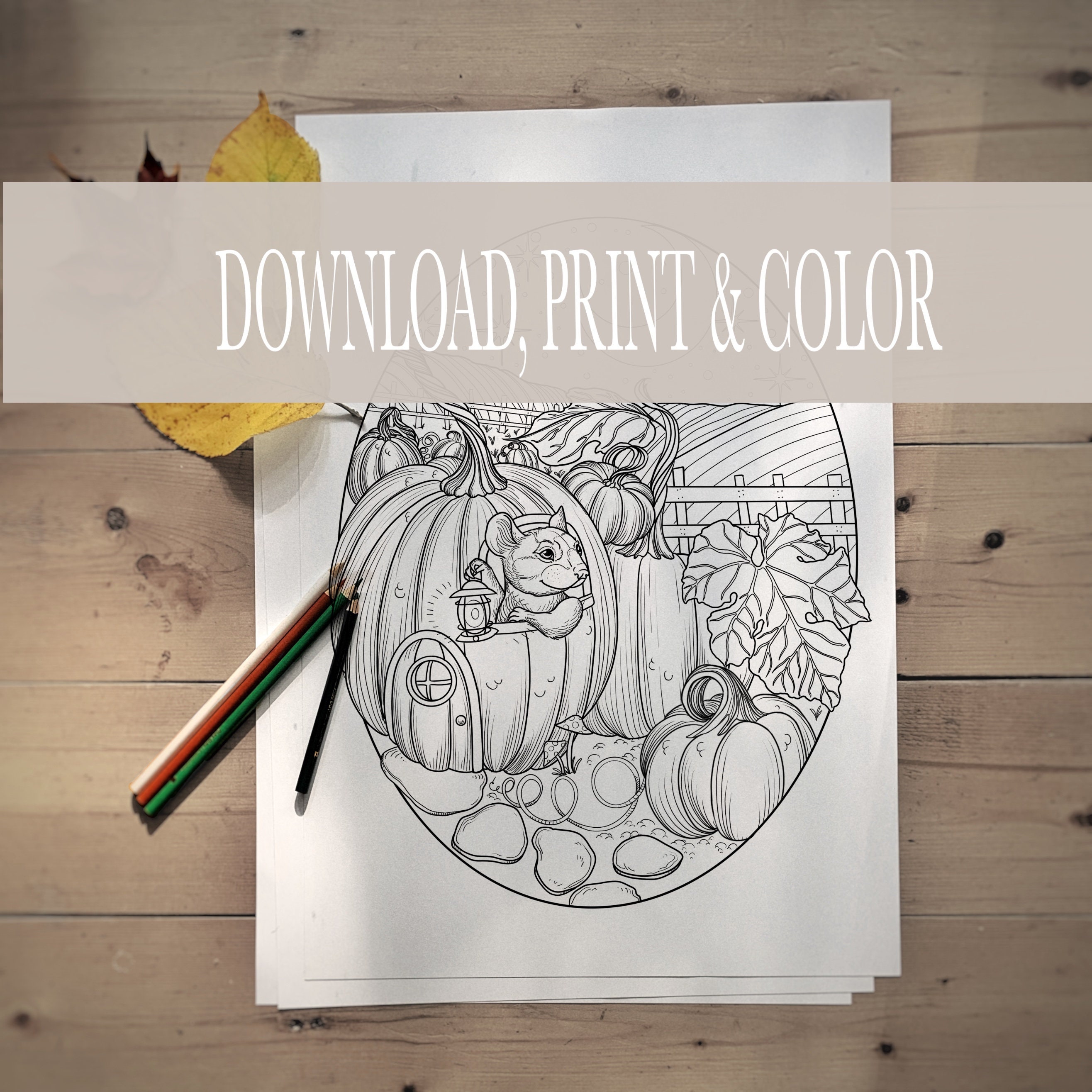 8 Fall Nature Coloring Printable Coloring Pages Bundle Kid - Etsy Australia
