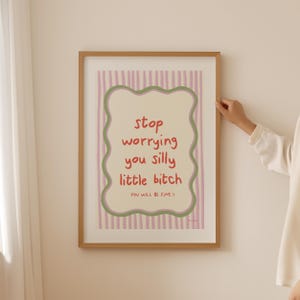 May include: A framed art print featuring the phrase "stop worrying you silly little bitch" in red script. The text is within a cream-colored, wavy-edged shape, set against a pink and white striped background. The words "YOU WILL BE FINE :)" are at the bottom.