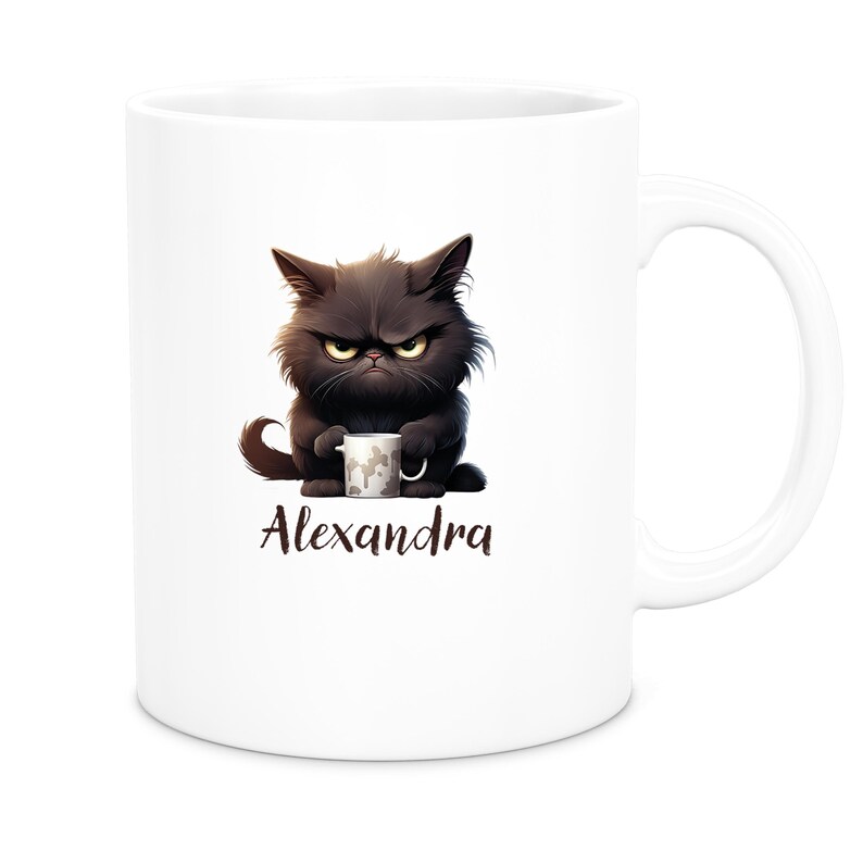 Grumpy Cat Mug #1 Personalized Children's Mug Enamel or Ceramic Various Colors image 8