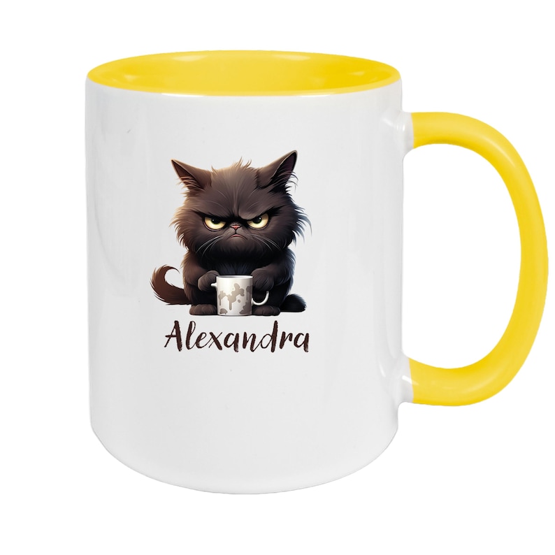 Grumpy Cat Mug #1 Personalized Children's Mug Enamel or Ceramic Various Colors image 4