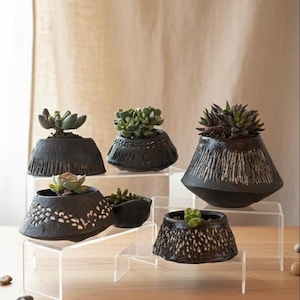 Op de afbeelding: Een verzameling van zes zwarte keramische plantenbakken, elk met een vetplant. De plantenbakken hebben een getextureerd oppervlak en verschillende vormen, tentoongesteld op heldere acryl standaards. De achtergrond is neutraal beige.