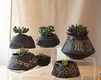 Peut inclure: Une collection de six pots de fleurs en céramique noire, chacun contenant une plante succulente. Les pots ont des surfaces texturées et des formes variées, exposés sur des présentoirs en acrylique transparent. Le fond est beige neutre.