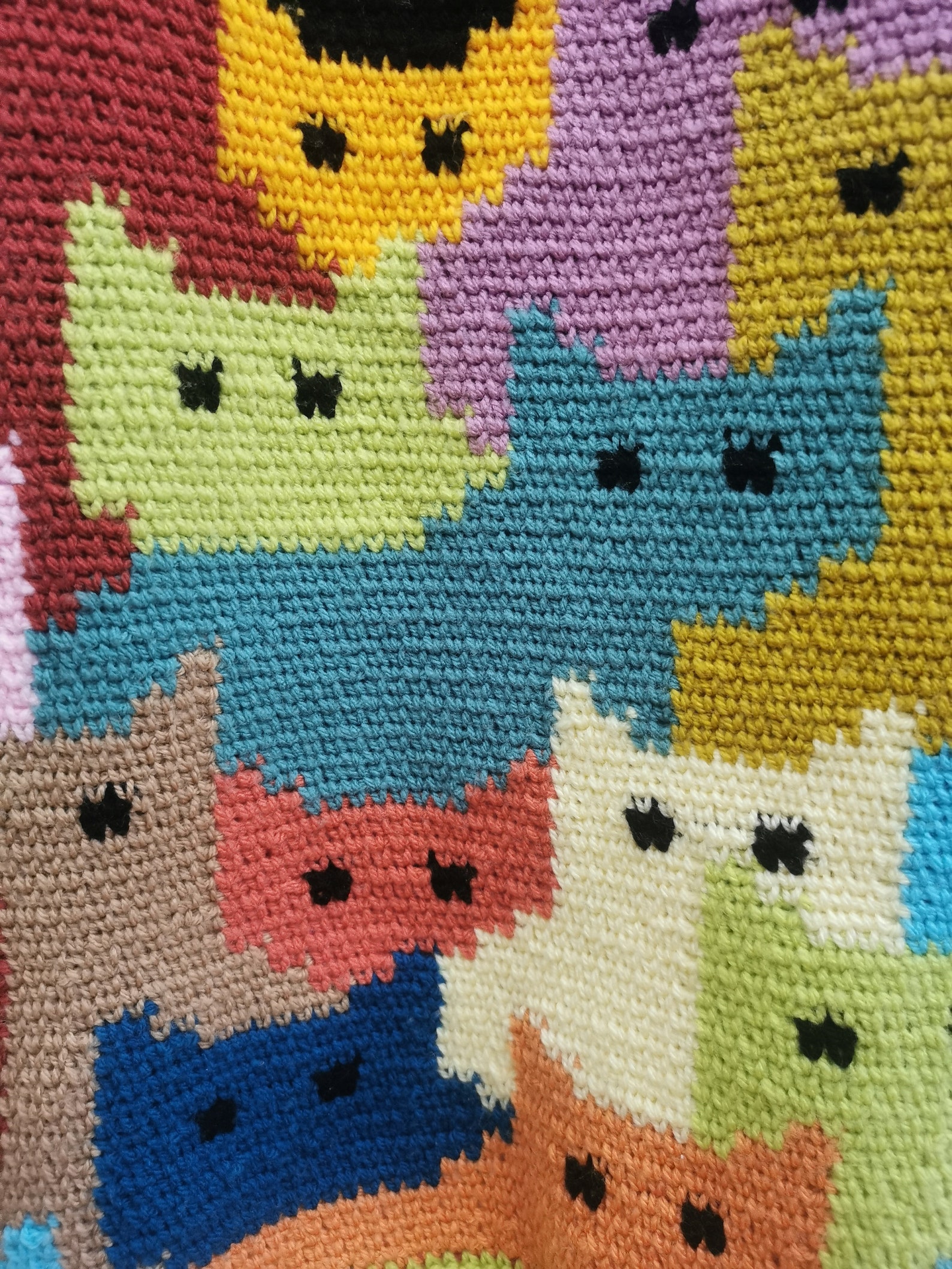 Crochet Pattern - Cat-digan Crochet Cardigan - Etsy