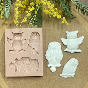 Owls Silicone Molds - Big Birds Polymer Clay Mould - Modelling Tools for Crafting - High Detail Mold