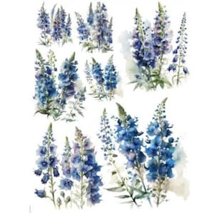 May include: A watercolour illustration of blue and purple delphinium flowers. The image shows several clusters of the flowers in different stages of bloom, with green stems and leaves. The flowers have a delicate, artistic style.