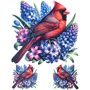 Puede incluir: Una vibrante ilustración de un cardenal rojo posado en medio de un grupo de flores de jacinto azules, moradas y rosas. El pájaro tiene una cresta prominente y un pico afilado. Dos versiones más pequeñas de la misma imagen están en la parte inferior.