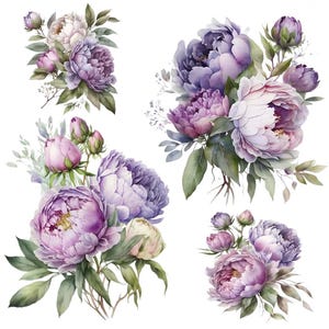 Peut inclure: Illustration à l'aquarelle de quatre bouquets de pivoines dans des tons de violet, lavande et blanc. Les fleurs ont plusieurs couches de pétales et sont entourées de feuilles et de boutons verts. Les bouquets sont disposés sur fond blanc.