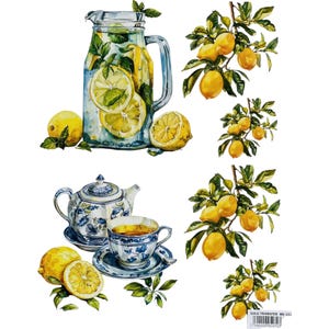 Carta da trasferimento ad acqua con rami di limone / Decalcomania in stile vintage per cucina / Frutta gialla per mobili riciclati / Adesivo decorativo italiano