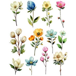 Op de afbeelding: Waterverfillustraties van verschillende bloemen in tinten wit, blauw, geel, oranje, roze en groen. Elke bloem is afgebeeld met gedetailleerde bloemblaadjes en stelen, die een delicate en artistieke stijl laten zien. De collectie bevat een verscheidenheid aan bloemmotieven.