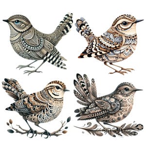 May include: Four detailed illustrations of birds with intricate patterns in shades of brown, gray, and white. Each bird has unique designs on its feathers and body, with some perched on branches. The artwork has a decorative, artistic style.