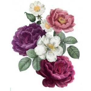 Decalcomania con fiori viola e bianchi / Carta da parati con peonie per mobili / Trasferimento Shabby Chic per decorazioni antiche e riciclo creativo