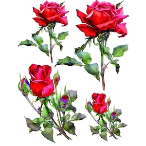 Trasferimento di rose rosse in stile vintage per mobili / Decalcomania ad acqua per fai da te / Carta per mobili di design / Decorazioni shabby chic