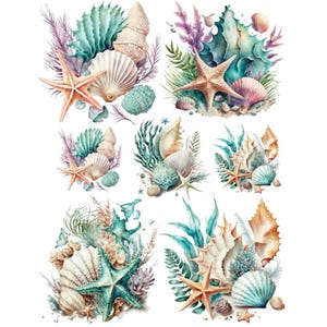 Coastal Water Slide Transfer | Starfish and Seashell Wet Decal | Sea Life Decal for Furniture Redesign | Nautical Bathroom Decor Craft Paper