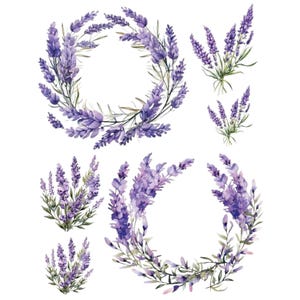 Könnte beinhalten: Aquarellillustrationen von Lavendelzweigen und -kränzen in Lila- und Grüntönen. Die floralen Arrangements sind auf weißem Hintergrund dargestellt. Das Bild enthält zwei kreisförmige Kränze und mehrere Lavendelzweige.