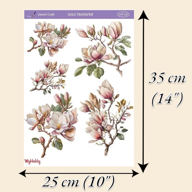 Olive Decor Transfer for Furniture | Redesign Water Slide Decal | Olive Branches for Cottage Decor | DIY Craft Transfer for Kitchen Decor