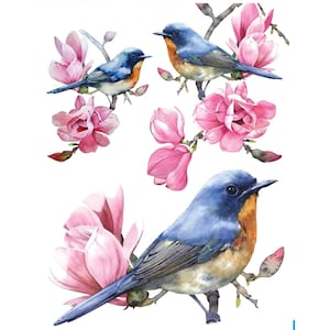Può includere: Illustrazione ad acquerello di uccelli blu con petto arancione appollaiati su rami con fiori di magnolia rosa. Gli uccelli hanno ali blu e grigie su sfondo bianco. L'immagine ha un aspetto morbido e artistico.
