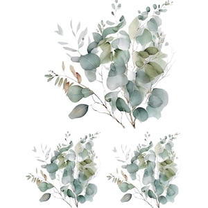 Op de afbeelding: Waterverfillustratie van drie eucalyptus takken met groene en grijze bladeren. De takken zijn in een boeketvorm gerangschikt.