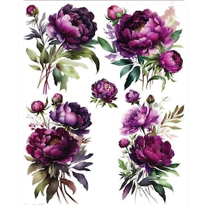 May include: A digital paper pack featuring watercolour illustrations of purple peonies with green leaves. The peonies are arranged in various bouquets and individual blooms.