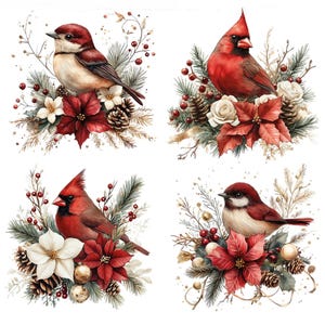 Op de afbeelding: Een set van vier illustraties met vogels, waaronder rode kardinalen en bruin getinte vogels, omringd door feestelijke elementen zoals rode kerststerren, witte bloemen, dennenappels, dennentakken en kleine rode bessen op een witte achtergrond.