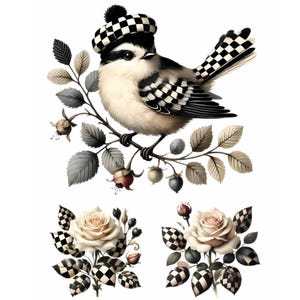 May include: An illustration of a bird wearing a black and white chequered hat, perched on a branch. The bird has chequered markings on its wings and tail. Two roses with chequered leaves and accents are below.