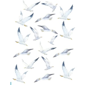 Pode incluir: Uma ilustração em aquarela de gaivotas brancas voando em um fundo branco. As gaivotas estão em várias posições e ângulos, criando uma cena dinâmica e animada.