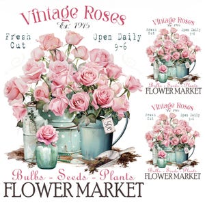 Peut inclure: Illustration de roses roses dans des contenants bleus vintage, avec le texte "Vintage Roses" et "Flower Market". L'image comprend également le texte "Fresh Cut", "Open Daily 9-6" et "Est. 1915".