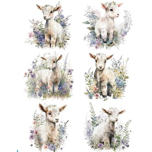 Decalcomania con motivo ad acqua con agnello e fiori di campo / Carta da trasferimento con animali da fattoria per legno / Decorazioni artigianali in stile rustico / Ristrutturazione di mobili da fattoria fai da te