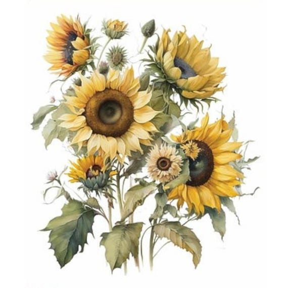 Sunflower Bouquet Water Slide Decal | Yellow Flower Transfer | Shabby Chic Garden Decor |  Craft Decorative Paper | Redesign Furniture