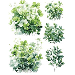 Op de afbeelding: Waterverfillustratie van diverse groene planten en bladeren. De afbeelding toont verschillende clusters van bladeren en bloemen, waaronder klavers met vier blaadjes en andere bladplanten. Het kunstwerk is tegen een witte achtergrond geplaatst, wat de levendige groene tinten benadrukt.