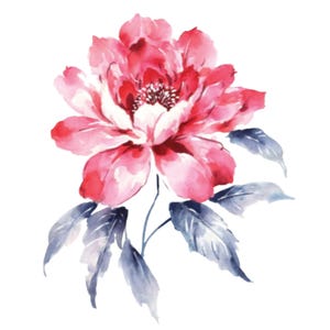 Pink Rose Transfer Paper for Furniture Redesign | Water Slide Floral Decal | Shabby Chic Big Flower Sticker | Chiffonier Craft Transfer