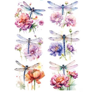 Decalcomania acquatica con libellula floreale, trasferimento di colori tenui per mobili e artigianato, carta decorativa riciclata fai da te