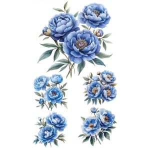 Peut inclure: Illustration à l'aquarelle de fleurs de pivoines bleues avec des feuilles vertes. L'image présente plusieurs bouquets de fleurs dans divers arrangements, avec quelques boutons visibles. Les fleurs ont une apparence détaillée et réaliste sur fond blanc.