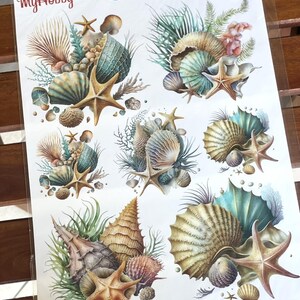 May include: A sheet of six colourful seashell and starfish transfer decals. The decals feature a variety of seashells, starfish, and seaweed in shades of blue, green, brown, and white.
