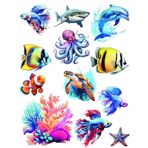 May include: A selection of colourful illustrations of marine life, including a shark, dolphin, octopus, sea turtle, and various fish species. The designs feature vibrant colours and detailed depictions of marine creatures, coral, and a starfish.
