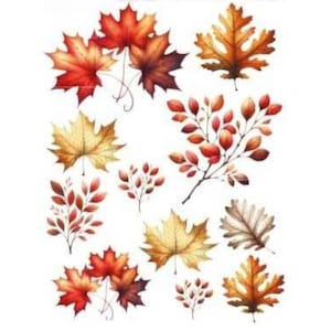 May include: Watercolor illustration of various autumn leaves in shades of red, orange, and yellow. The image features maple leaves, oak leaves, and branches with small, colorful leaves, perfect for fall-themed crafts and designs.