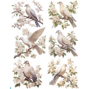 May include: Six white doves perched on branches of blooming white flowers. The doves are in various poses, some with wings spread, some with wings folded. The flowers are in full bloom and have a delicate, feminine feel.