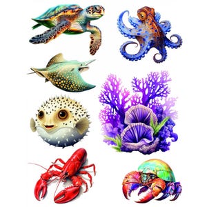 May include: A selection of vibrant illustrations of marine life, including a turtle, octopus, stingray, pufferfish, lobster, and crab. The image also features coral and seashells, all rendered in a colourful, illustrative style.