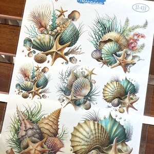 Seashell and Starfish Furniture Transfer | Ocean Themed Water Transfer Sheet | Nautical Craft Paper | DIY Underwater Home Decor image 3