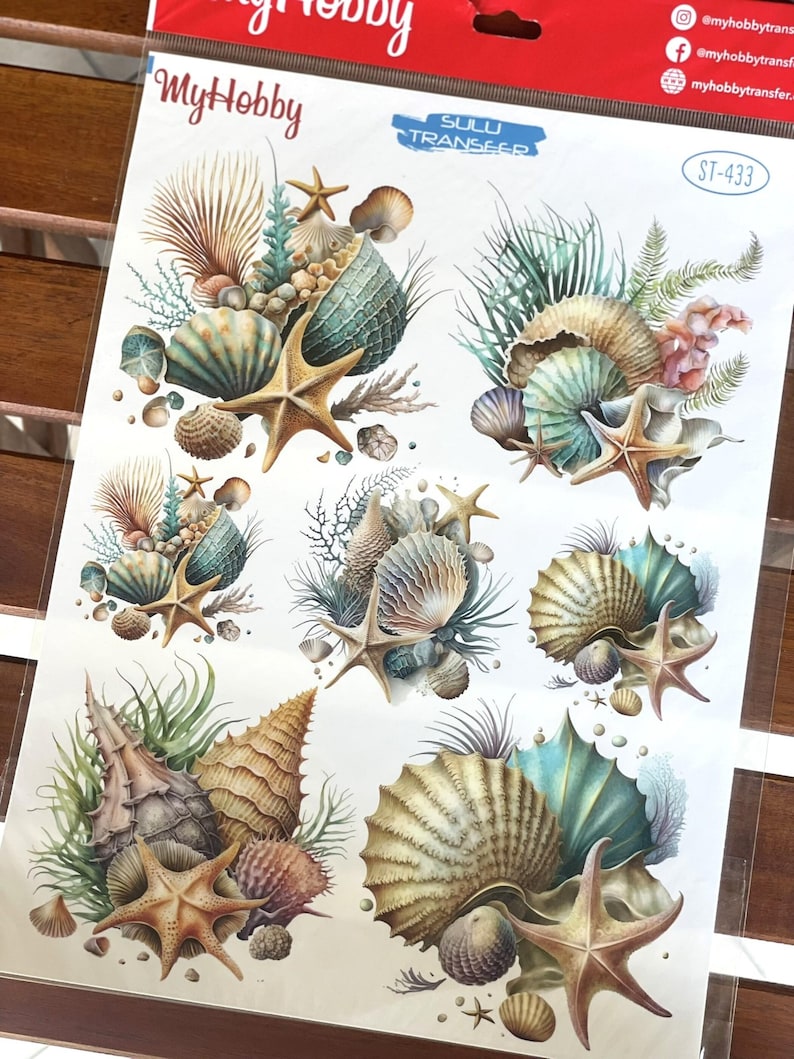 Seashell and Starfish Furniture Transfer | Ocean Themed Water Transfer Sheet | Nautical Craft Paper | DIY Underwater Home Decor image 3