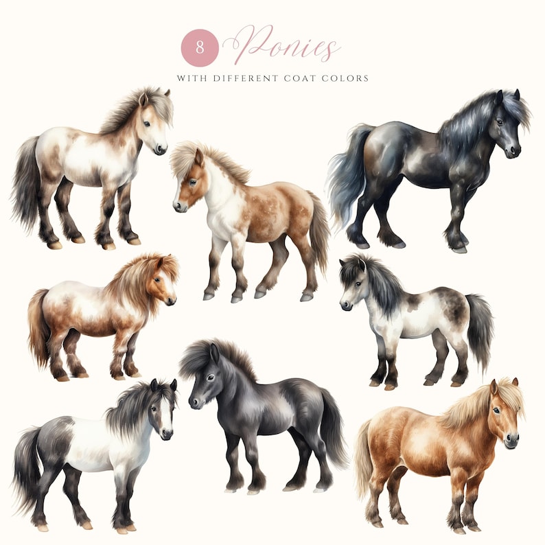 May include: Eight watercolor illustrations of ponies with different coat colors. The ponies are all standing on a white background. The text "8 Ponies" and "With Different Coat Colors" is written above the ponies.