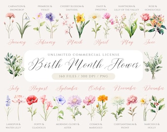 Birth Month Flower Clipart, Birth Flower PNG, Birth Month Flower Bouquet, Mother's Day Gift, Watercolor Birth Month Flowers, Floral Clipart