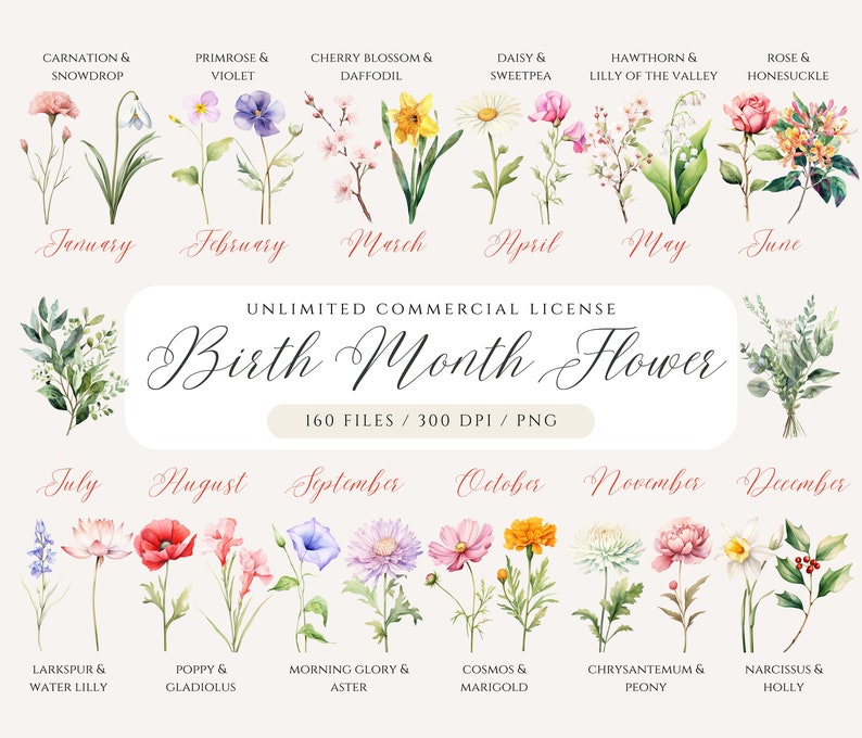 May include: A chart of birth month flowers with watercolor illustrations of each flower. The flowers are arranged in a grid with the month name below each flower. The flowers are labeled with their common names and the month they are associated with. The text "Birth Month Flower" is written in a decorative font at the top of the chart.